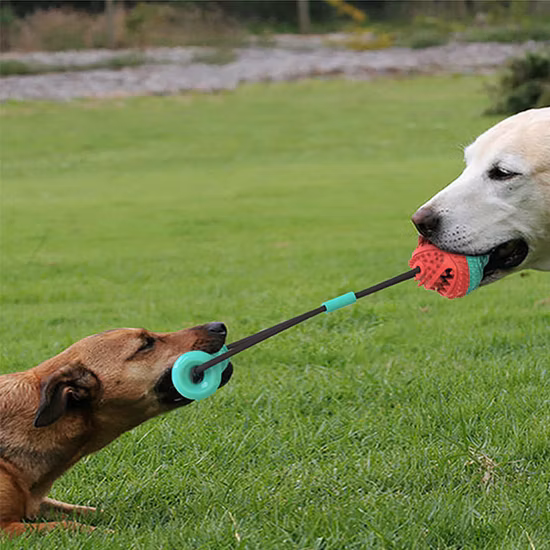 Nuovo design Rolling Dog Gioca a palla Puzzle e giocattolo da masticare per animali domestici Giocattolo con palla di gomma Giocattoli per cani a scorrimento infinito